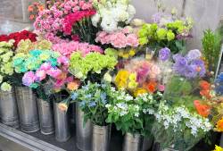 愛知県津島市の花屋　鈴木生花店